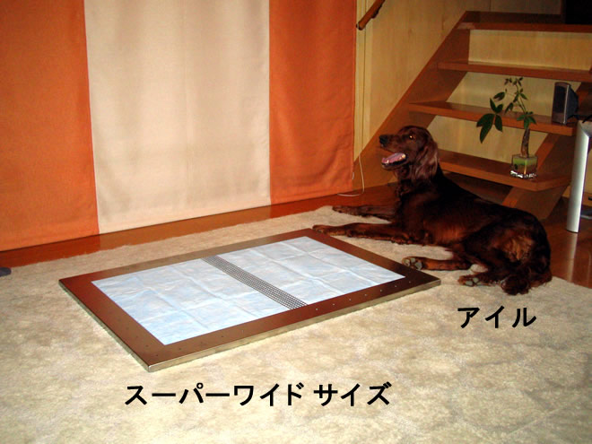 犬用ステンレス製トイレ・トレイ　大型犬　アイリッシュセッター